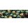 Chessex: Gold-Green w/white Gemini™ 12mm d6 with pips Dice Blocks™ (36 Dice)