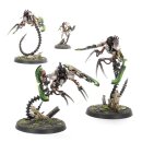 Necrons: Ophys-Destruktoren / Ophydian Destroyers