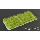 Gamers Grass Tufts Jungle XL 12mm Wild