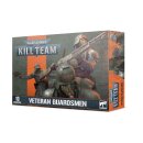 Kill Team: Veteranen des Todeskorps von Krieg