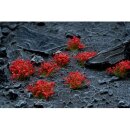 Gamers Grass Tufts Red Flowers Wild
