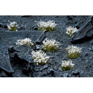 Gamers Grass Tufts White Flowers Wild