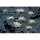 Gamers Grass Tufts White Flowers Wild