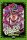 Jojos Bizzare Adventure Battle Tendency, Band 4 (Abschlussband)