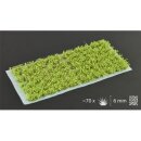 Gamers Grass Tufts Green Shrub Wild