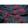 Gamers Grass Tufts Pink Flowers Wild