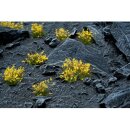 Gamers Grass Tufts Yellow Flowers Wild