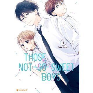 Those Not-So-Sweet Boys, Band 3