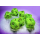 Vortex® Mega-hedral™ Bright Green/black 7-Die Set
