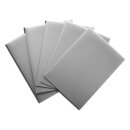 Dragon Shield: Silver (100)