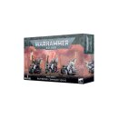 Dark Angels: Schwarze Ritter des Ravenwing / Ravenwing...