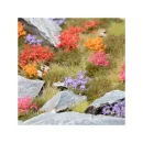 Tufts Garden Flowers Set Wild