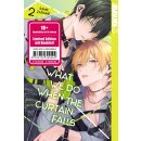 What We Do When the Curtain Falls, Band 2 Limited Edition