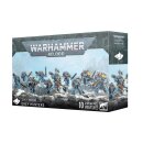 Space Wolves: Graumähnen / Grey Hunters