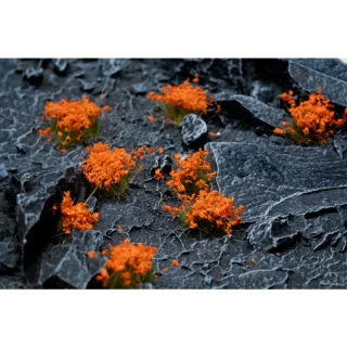 Orange Flowers Wild