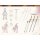 Heaven Officials Blessing Artbook: One Flower, One Sword [Artbook]