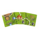 Carcassonne: Türme & Gauner (V3.0 Erw. 4)