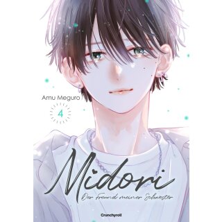 Midori - Der Freund meiner Schwester, Band 4