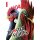 Rooster Fighter, Band 4