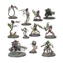 Necrons: 500-Welten Bataillon