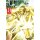 One-Punch Man, Band 31