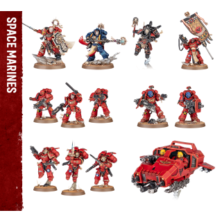 Warhammer 40k Armageddon - Space Marines Anteil