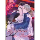 Im Schleier der Nacht, Band 1