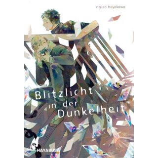 Blitzlicht in der Dunkelheit [Einzelband]