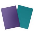 Dragon Shield: Matte Dual – Soul & Petrol (100)