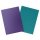 Dragon Shield: Matte Dual – Soul & Petrol (100)