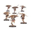 Adeptus Custodes: Venatari Gemeinschaft / Sodality
